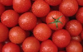 tomatoes power